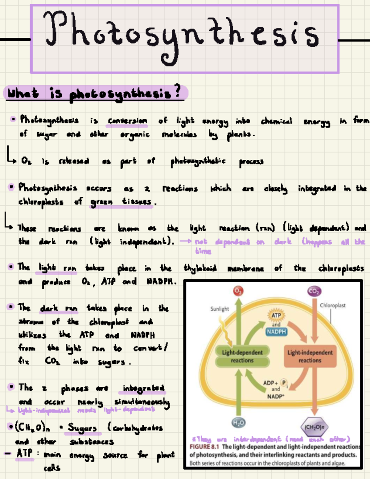 Photosynthesis Overview: Key Processes and Reactions (Course Code: 2 ...