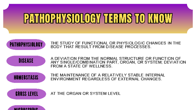Ch 1: Key Pathophysiology Terms to Know - Studocu