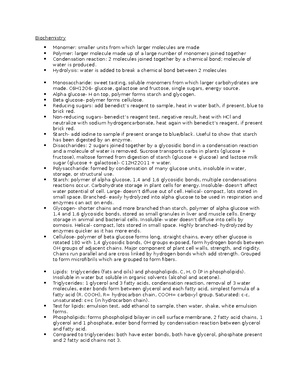 Rp Rp Guide Rp The Effects Of Temperature On The Permeability