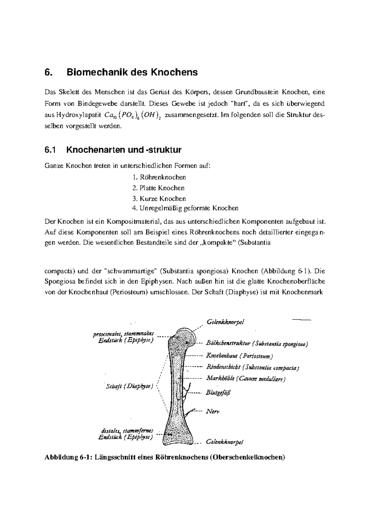 Vorlesungsnotizen zur Biomechanik des Knochens (6.BM) - Studocu