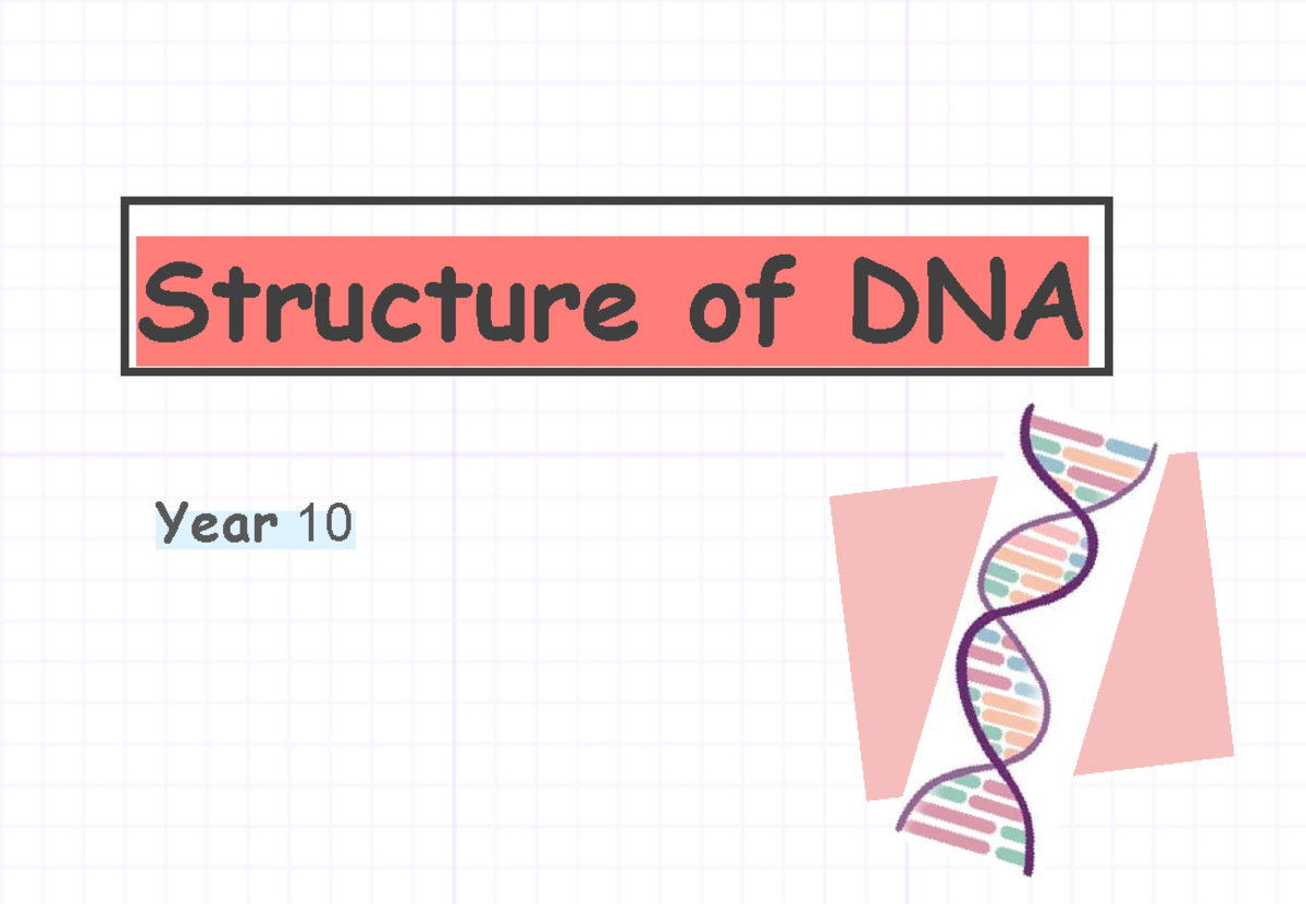 DNA Structure - biology - Year 10 Structure of DNA o Location o ...