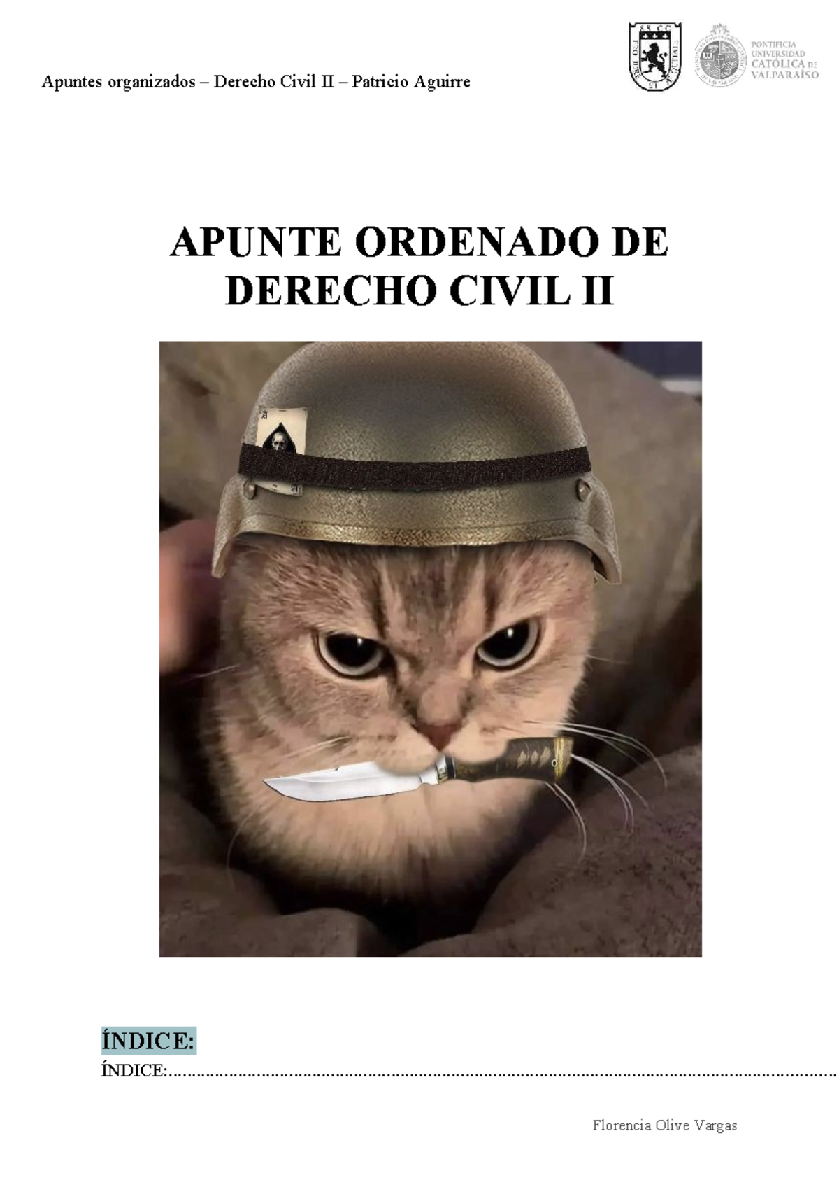 Apuntes Organizados de Derecho Civil II - Bienes por Patricio Aguirre - Document Preview