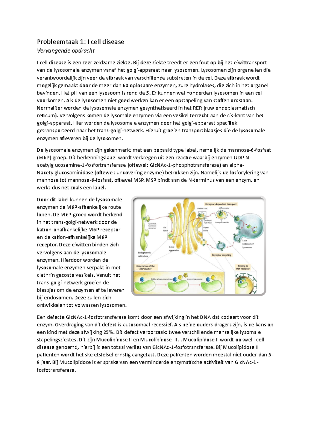 Probleemtaak 1: Inzicht in I Cell Disease en Lysosomaal Transport ...