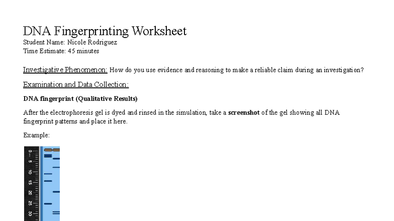 DNA Fingerprinting Worksheet - Investigative Practice and Results - Studocu