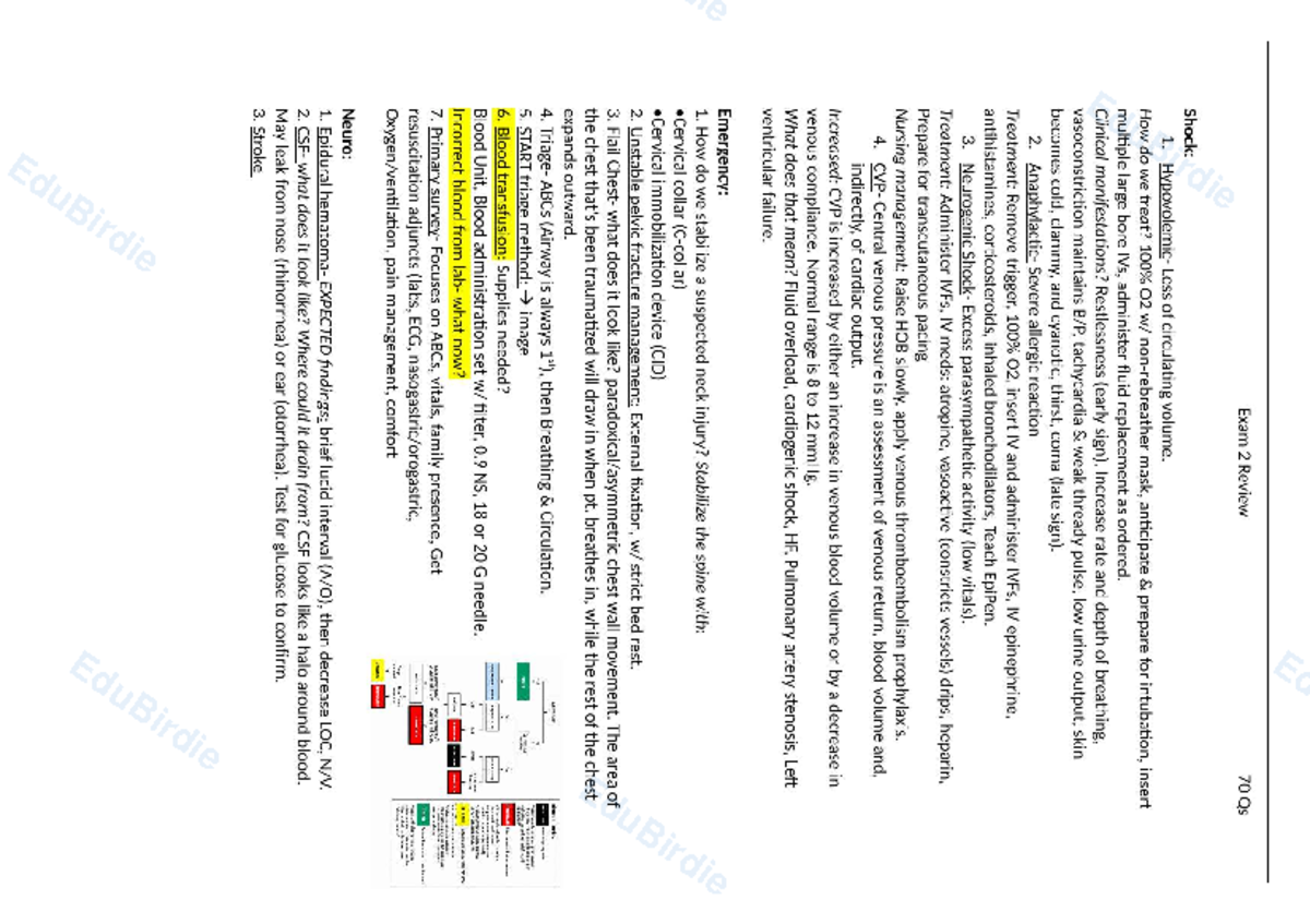 Complex adult health exam 2 review - NR-341 - Studocu