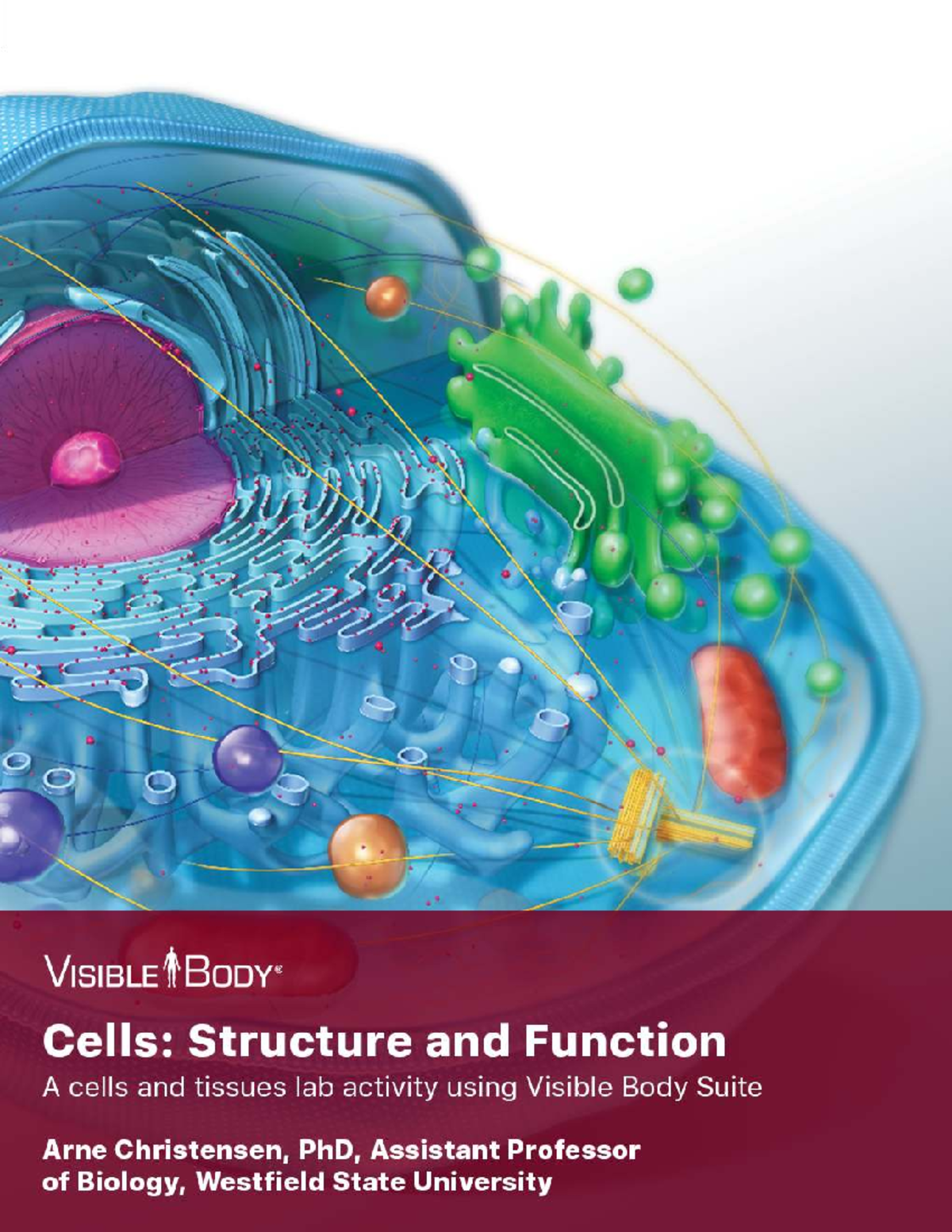 Lab Manual: Cells Structure & Function Exercises (BIO101) - Studocu