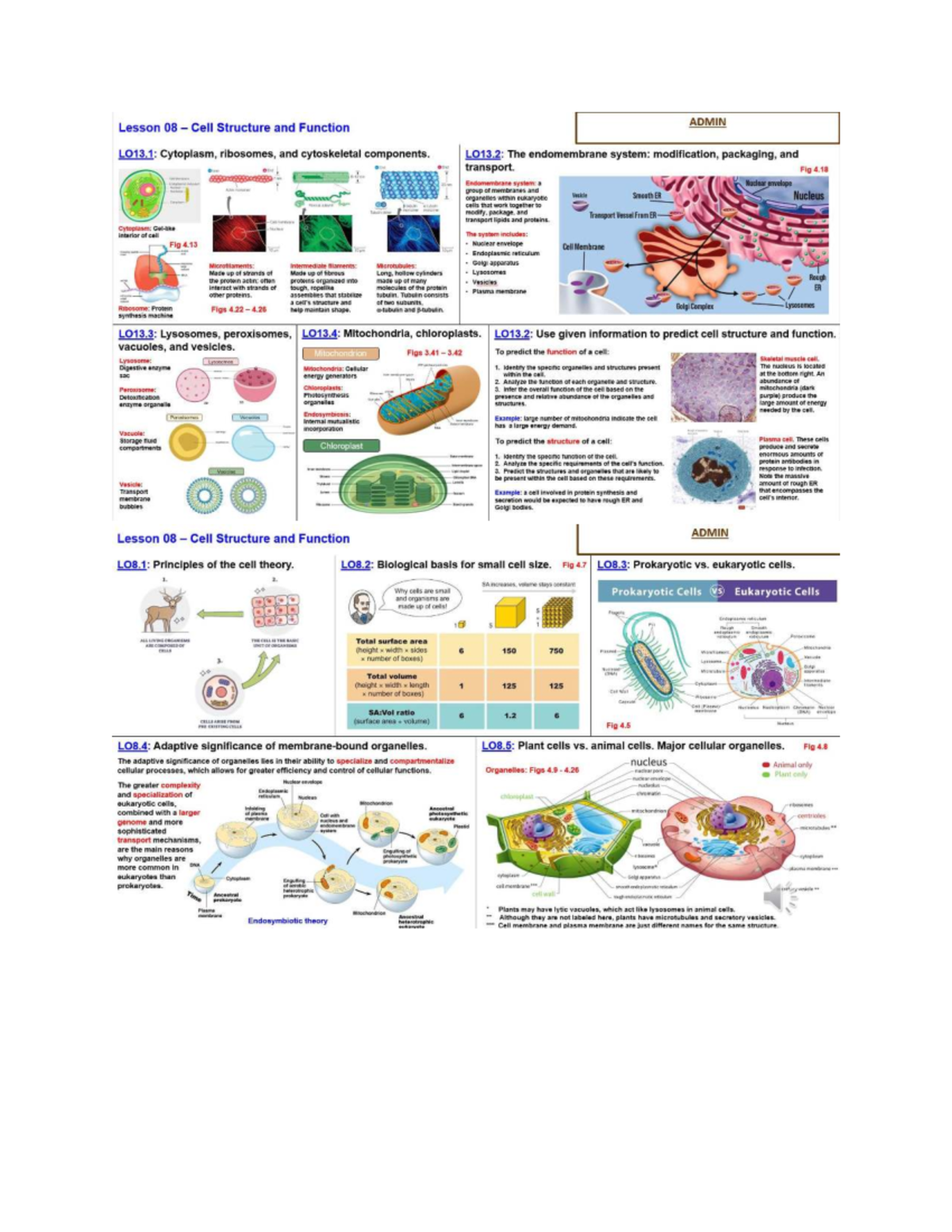 Final Exam Study Guide for ABC123: Cell Structure & Function - Studocu