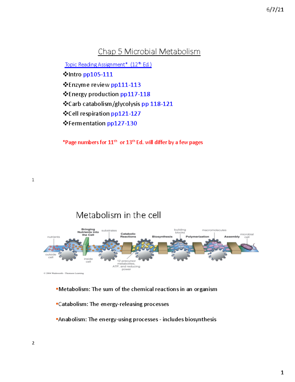 Chap 5 and 8 Microbial Metabolism and Genetics - Chap 5 Microbial ...