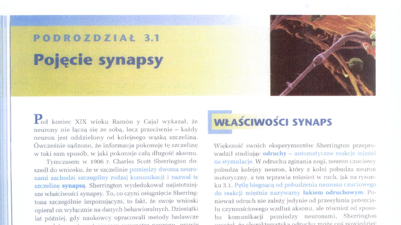 PODROZDZIAŁ 3.1: Pojęcie synapsy w badaniach Sherringtona - Studocu