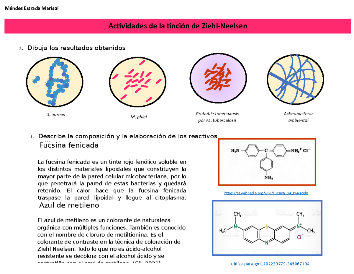Examen 15 Mayo: Preguntas y Respuestas sobre Microbiología - Studocu