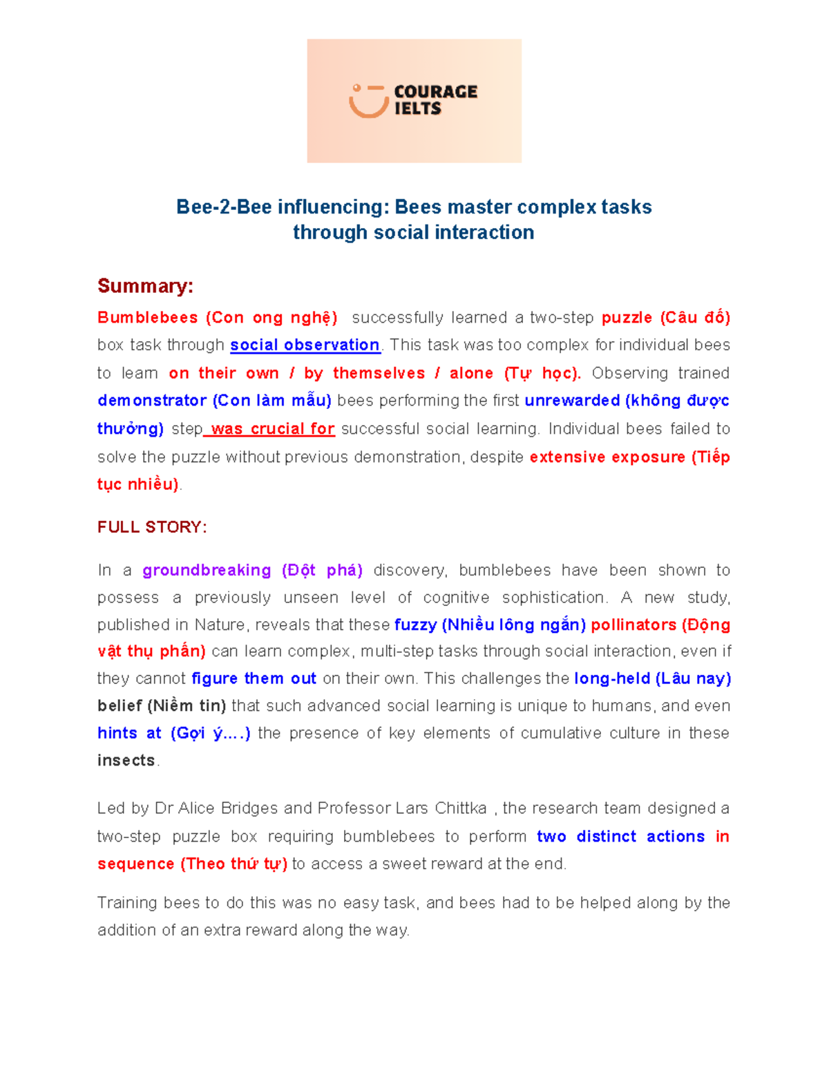 Reading - Bee 2 bee - Bee-2-bee - Bee-2-Bee influencing: Bees master ...
