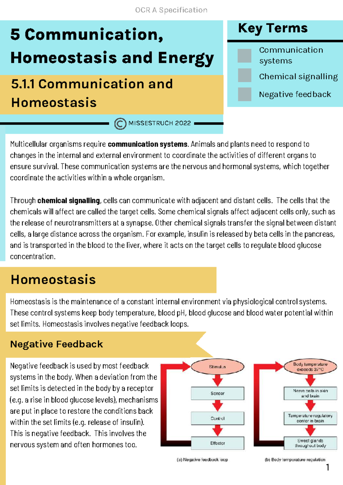 OCR A Specification 5: Communication, Homeostasis & Energy Key Terms ...