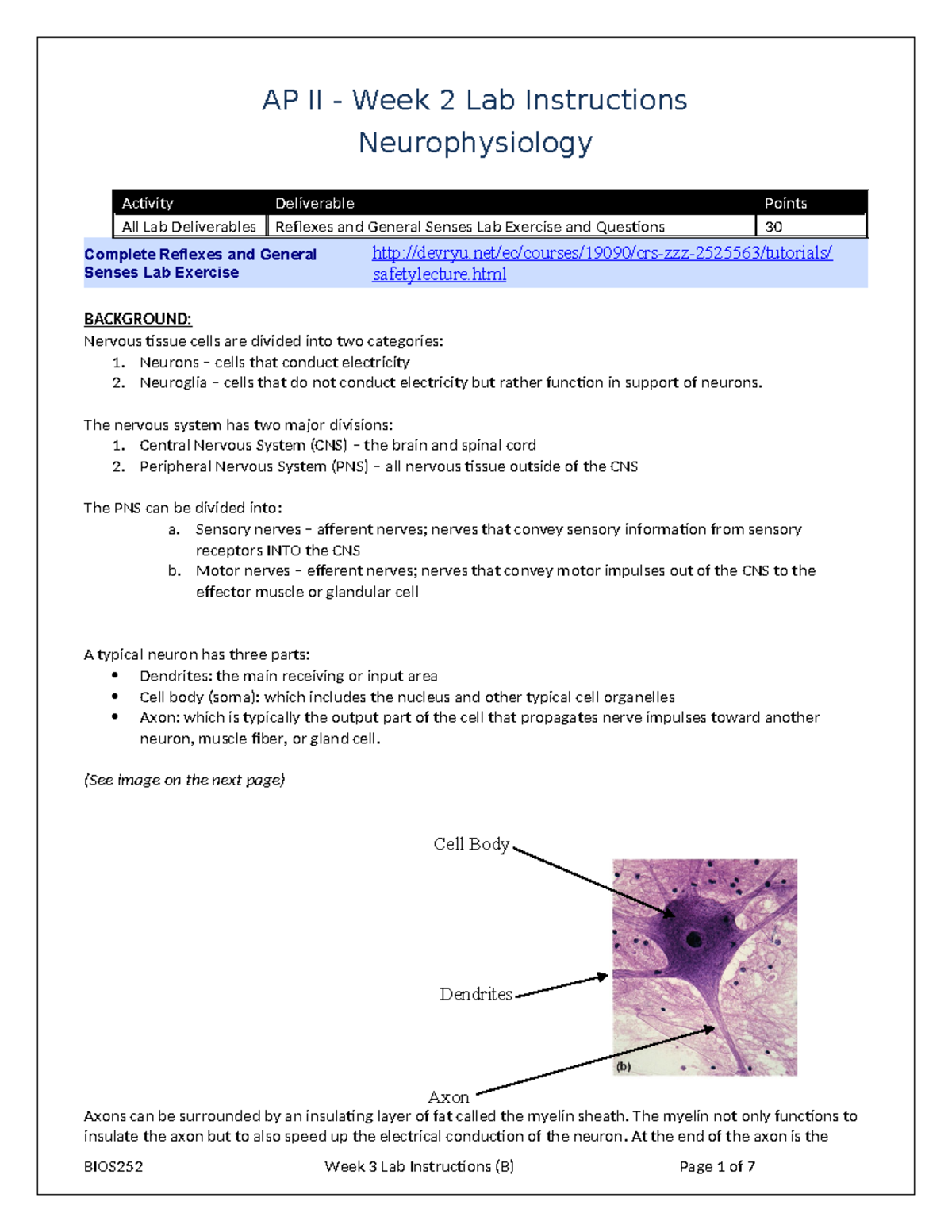 BIOS252 W2 Lab Instructions - July24 Updated - AP II - Week 2 Lab ...