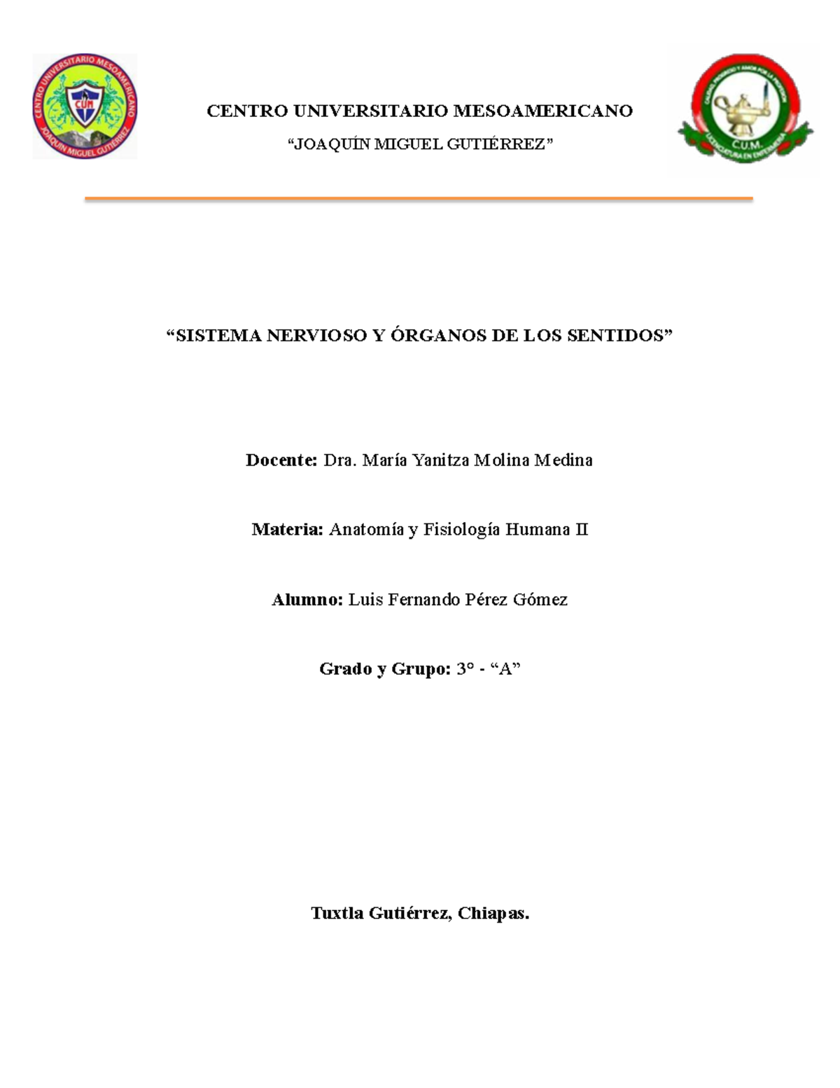 Sistema Nervioso y Órganos de los Sentidos - Anatomía II - Studocu