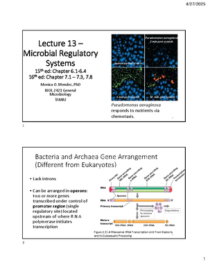 General Microbiology - Spring 2025 Final Exam Review Guide - General ...