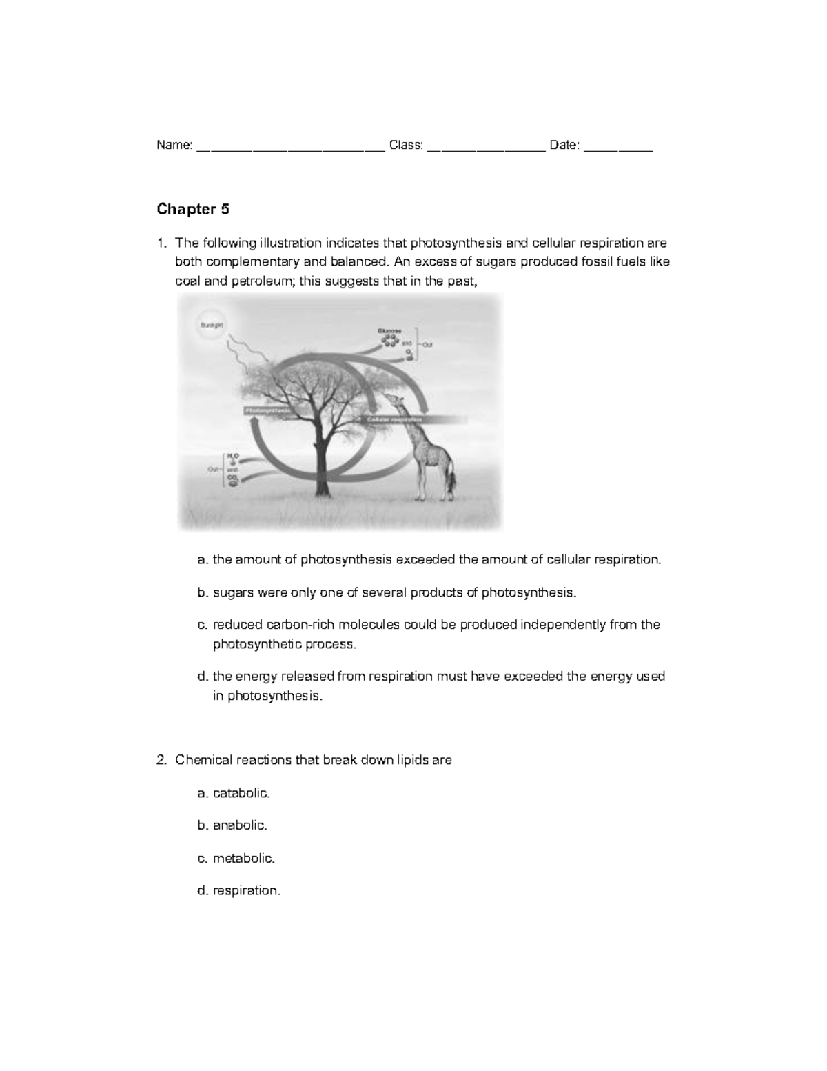 Chapter 5 - Lab Notes on Photosynthesis & Cellular Respiration - Studocu