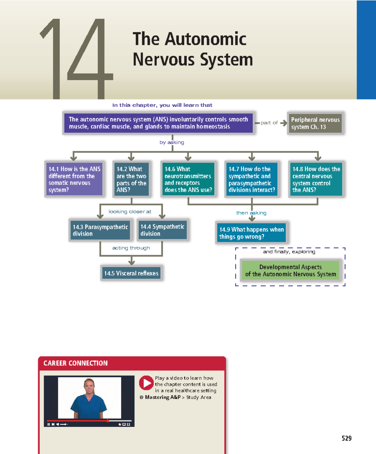 Chapter 14: The Autonomic Nervous System Overview - Studocu