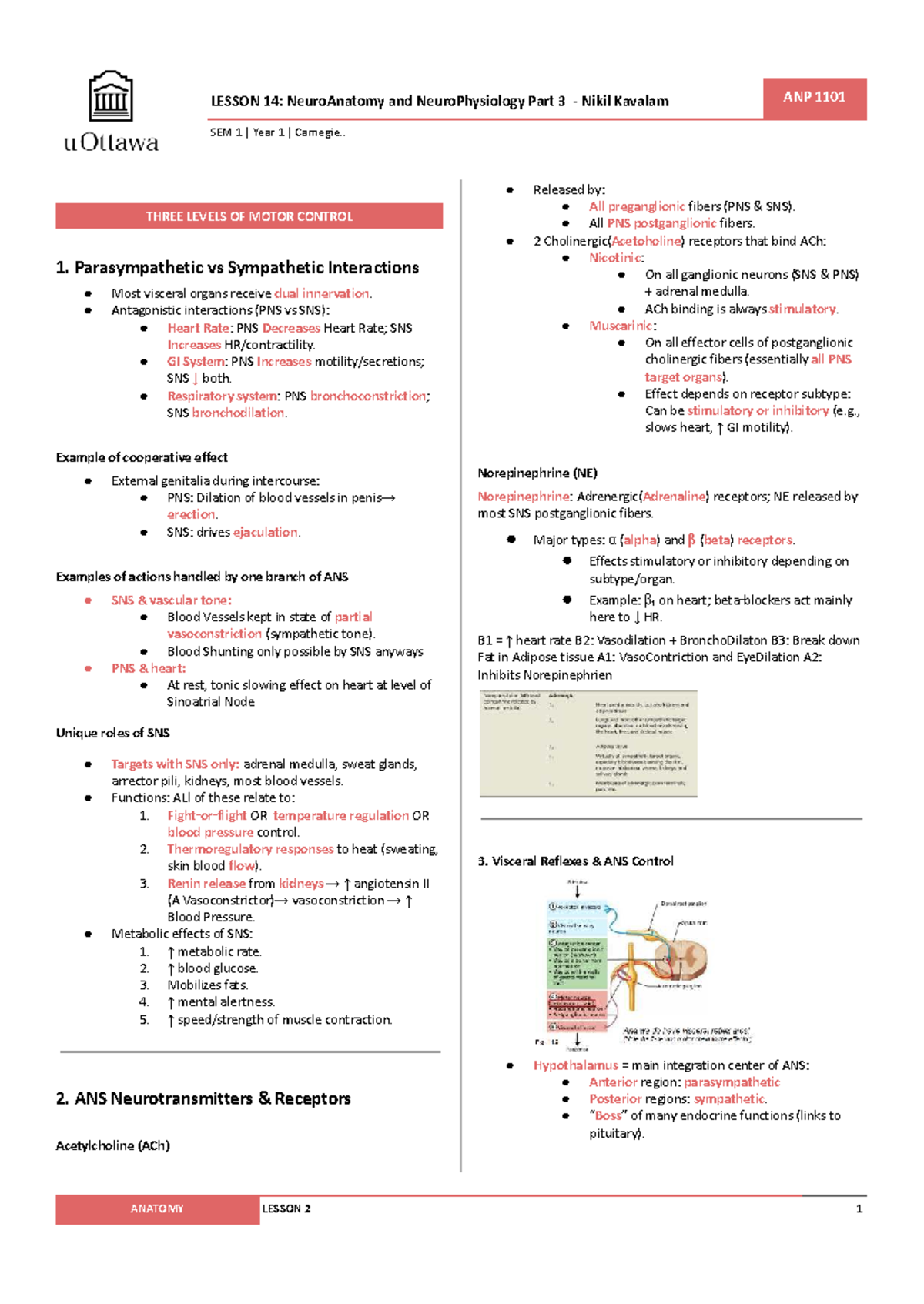 ANP 1101: NeuroAnatomy & NeuroPhysiology Lesson 14 Notes - Studocu