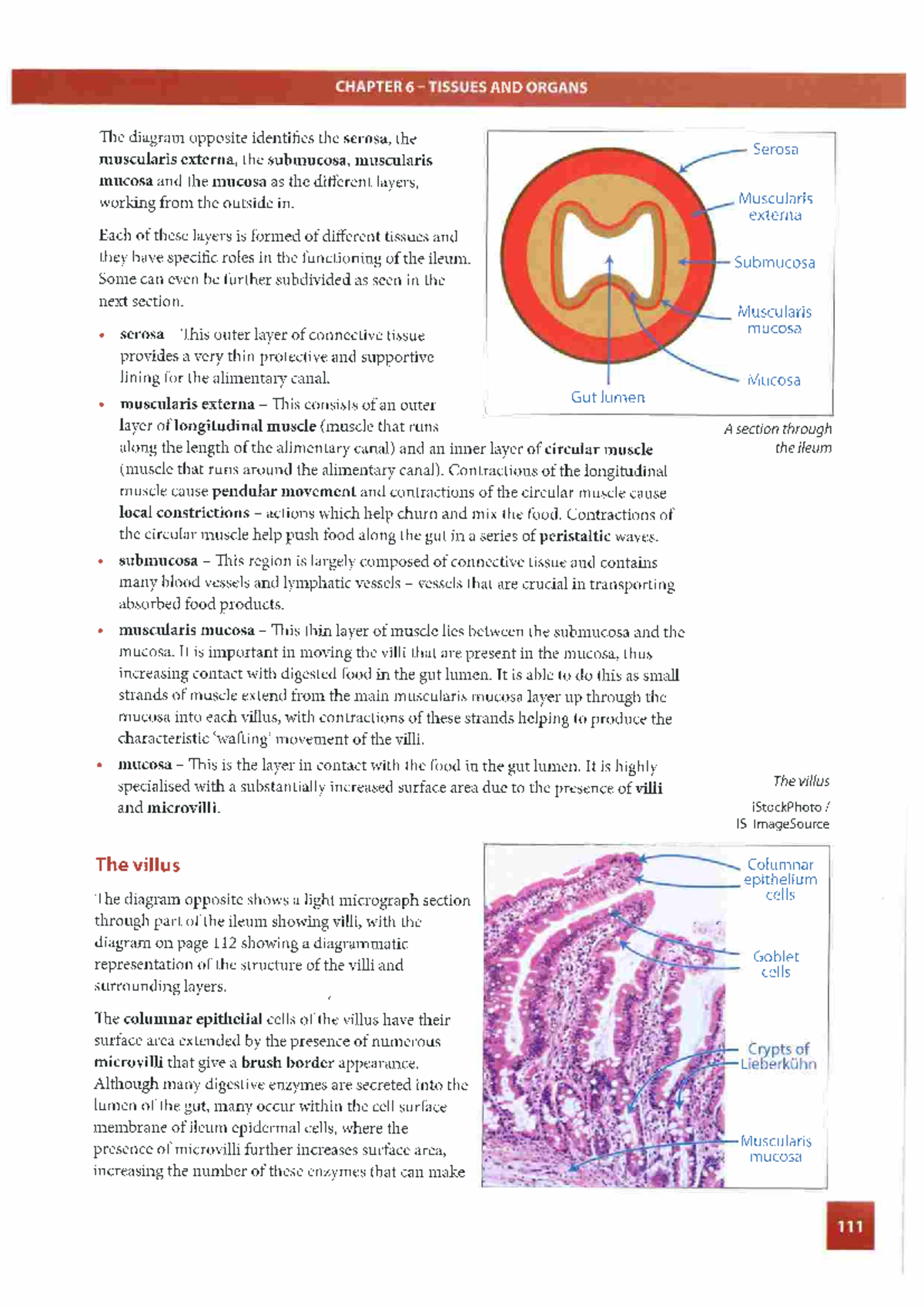 Course Code PSY 101: Introduction to Psychology Lecture Notes - CHAPTER ...