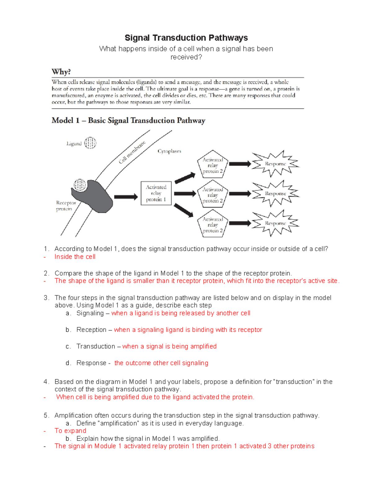 BIO 151 Recitation: Insights into Signal Transduction Pathways - Studocu