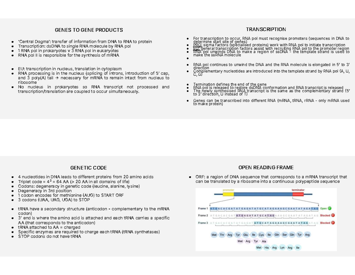 Tute 4: Transcription and Translation Mechanisms in Gene Expression ...