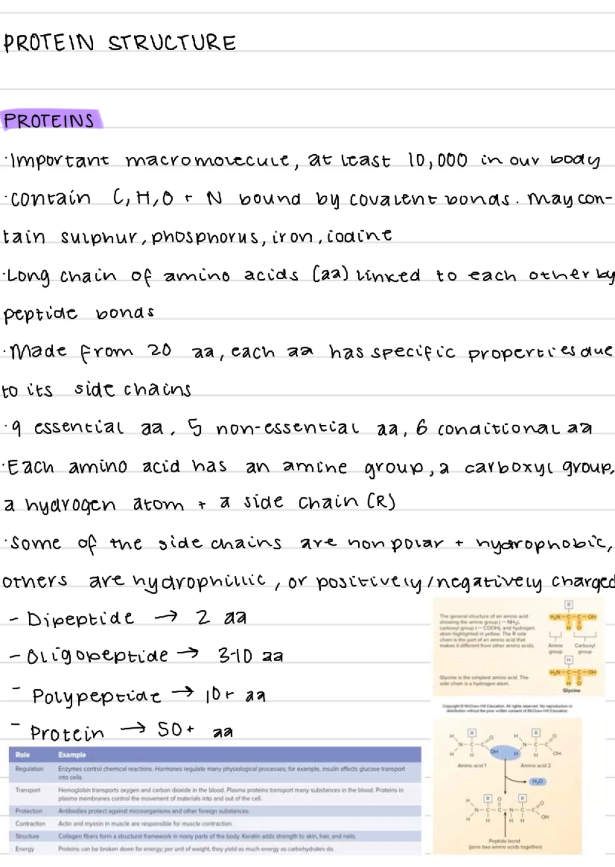 Mitosis and Meiosis: Comprehensive Lecture Notes for Biology 101 - Studocu
