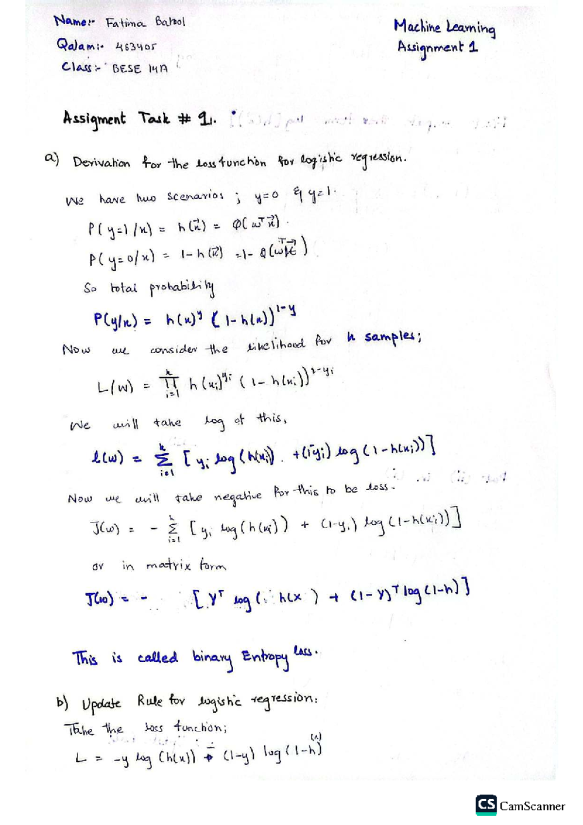 Machine Learning 463405 Assignment 1: Logistic Regression Loss ...