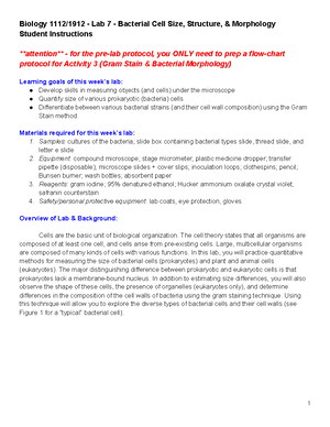 DNA Analysis Lab Report - Google Docs - DNA Extraction Analysis with ...
