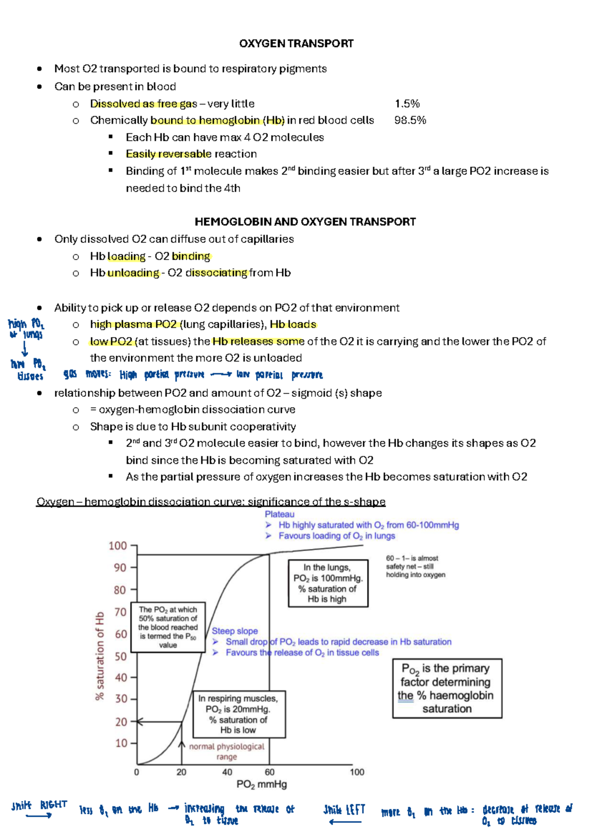 Bio 154 - Hemoglobin and Oxygen Transport Mechanisms - Studocu