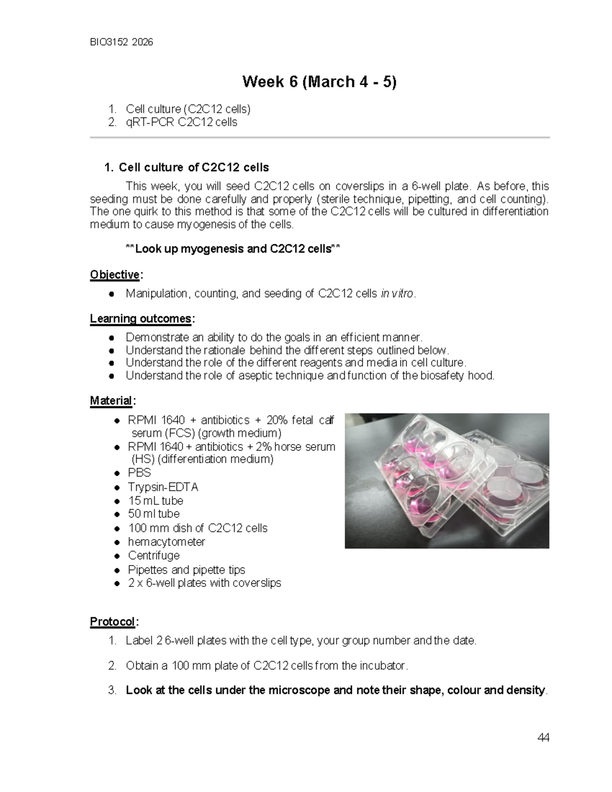 BIO3152 2026 Week 6 Lab Procedure: C2C12 Cell Culture Techniques - Studocu
