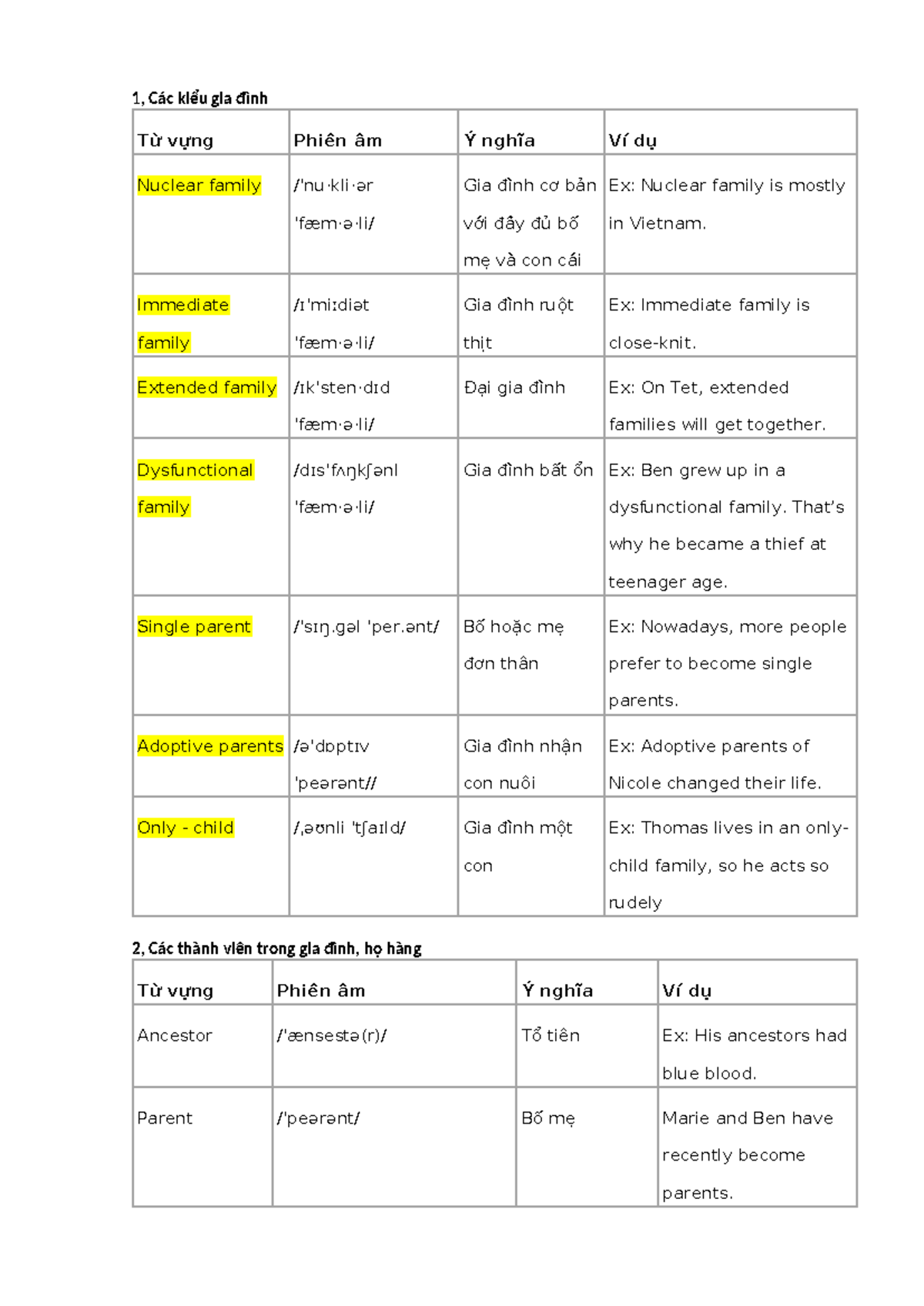 Vocab Theme: Family Terms - 111 - Definitions & Examples - Studeersnel