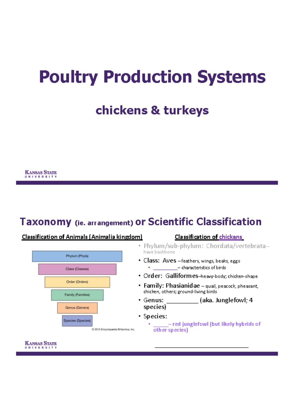 ASI 102 Poultry Production Systems: Chickens, Turkeys, and ...