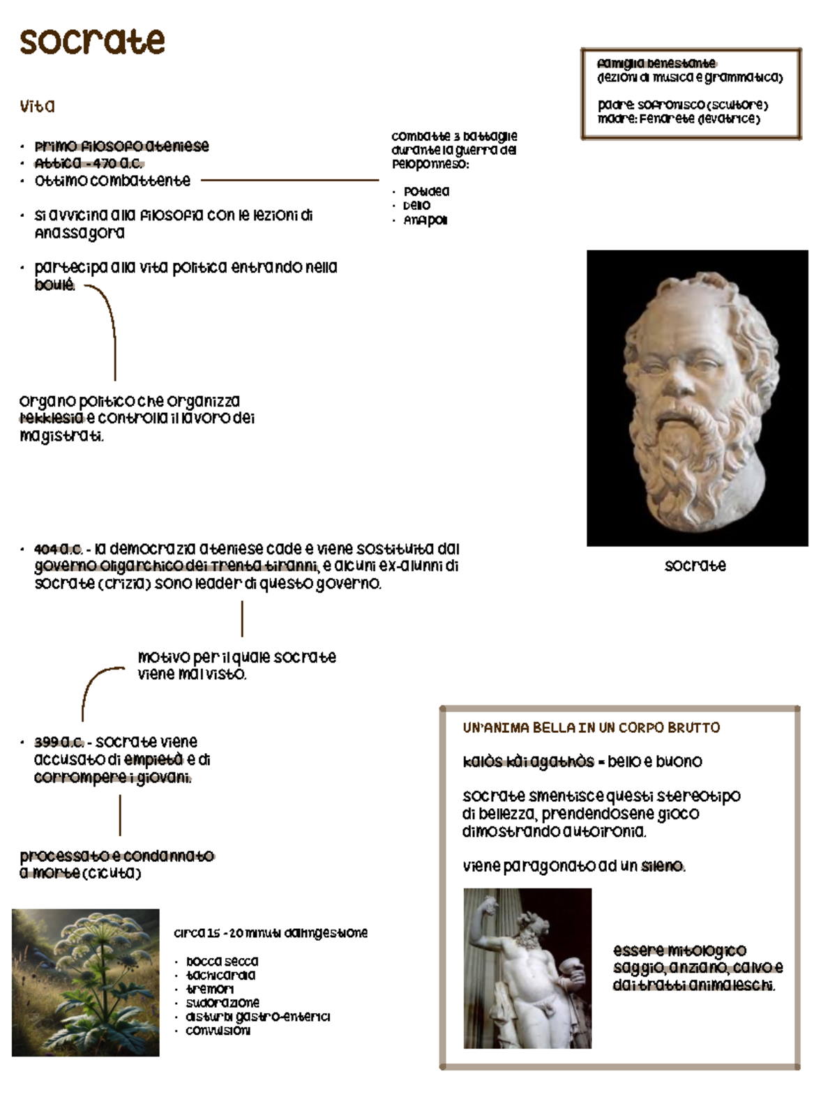 Socrate - Vita, testimonianze, processo, metodo socratico, ricerca ...
