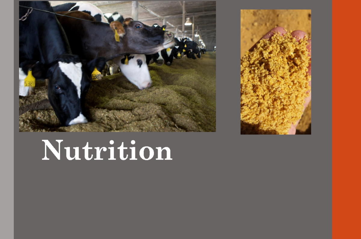 NUTR 101: Nutritional Physiology & Digestive Systems Overview - Studocu