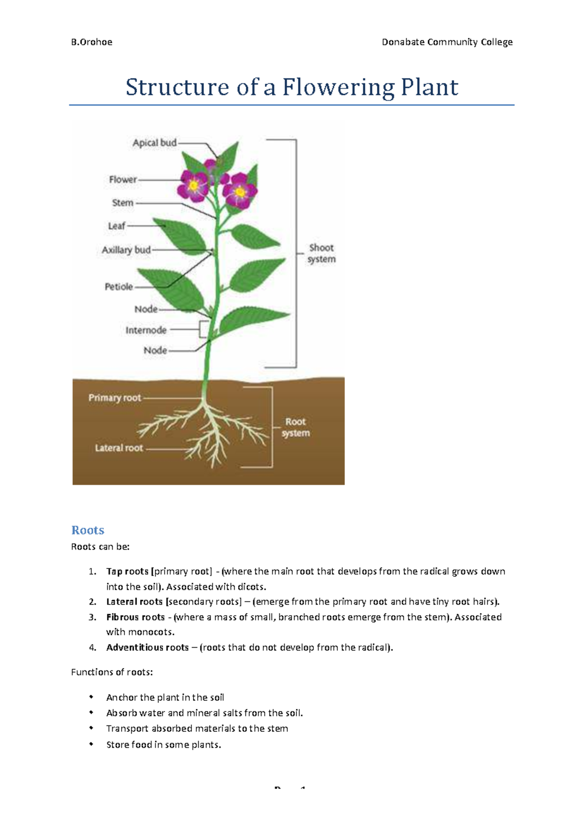 Structure and Function of Flowering Plants (Bio 101 Lecture Notes ...