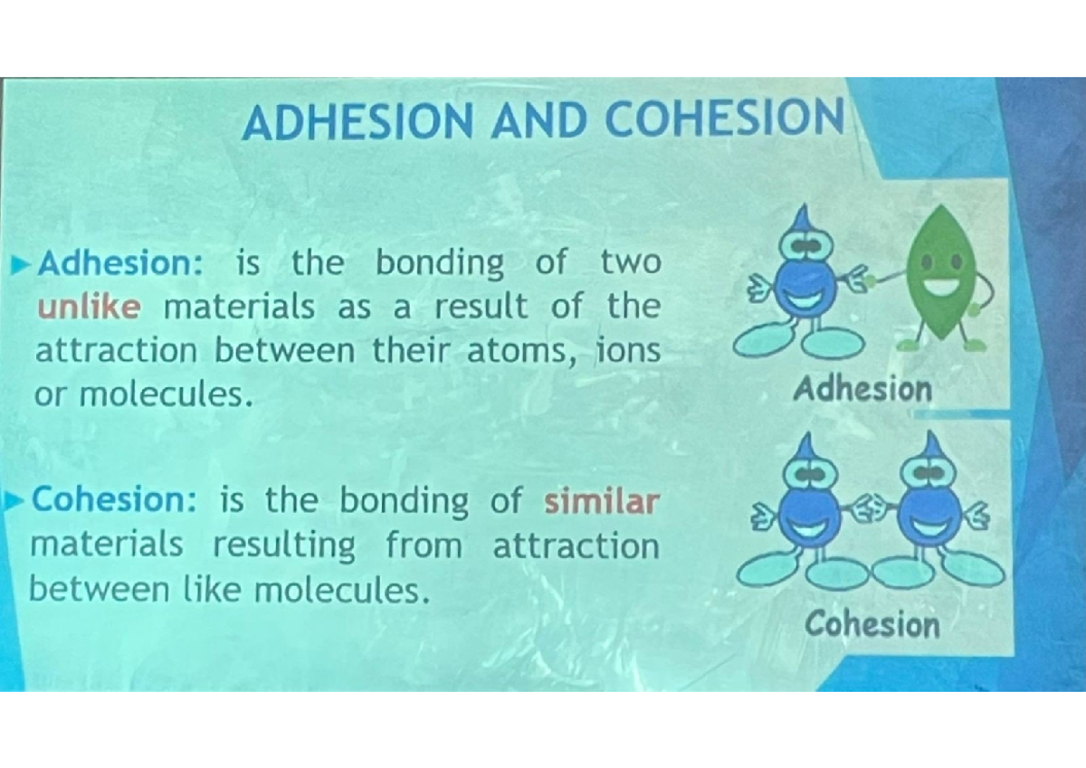 Adhesion and Cohesion: Concepts and Applications in Science - Studocu