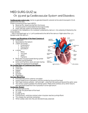 Med surg final exam study guide - Med Surg Final Exam Review Patient ...
