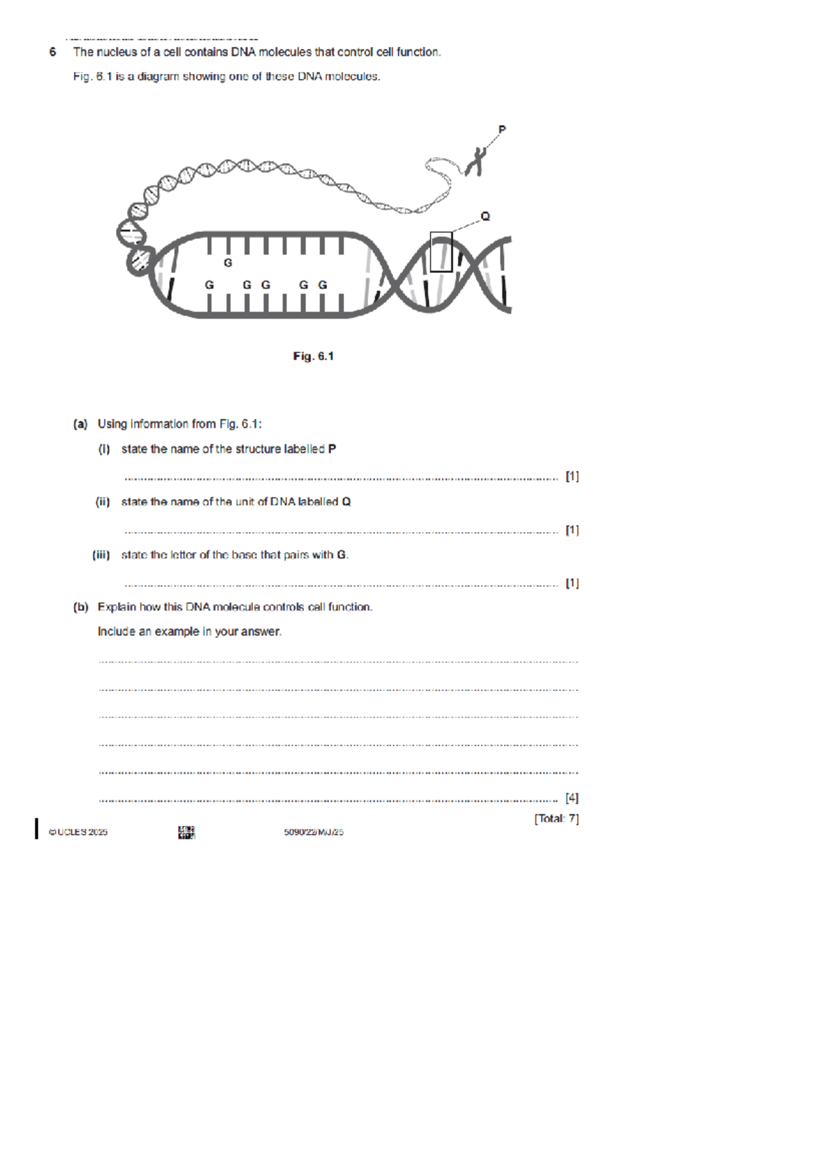 DNA Control of Cell Function - Additional Teaching Material (5090 ...