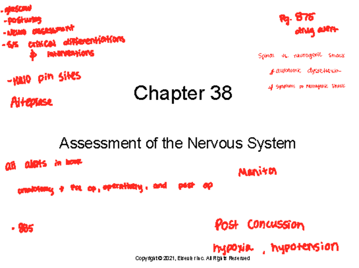 Ch 38 - Nervous System Assessment & Neurophysiology Notes - Studocu
