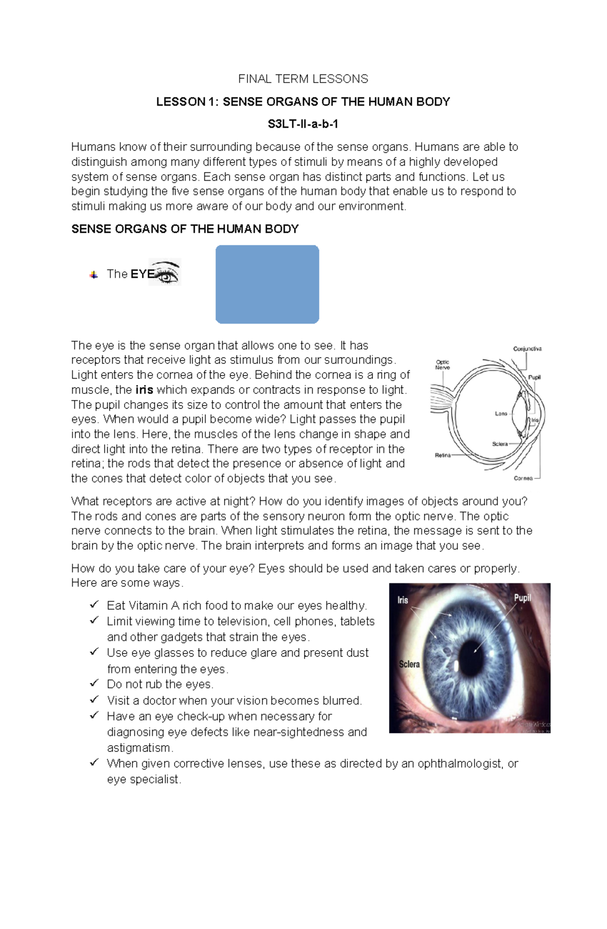 FINAL TERM LESSONS S5LT: SENSE ORGANS & HUMAN BODY SYSTEMS - Studocu