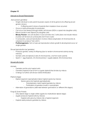 Genetics Exam 2 Study Notes: DNA Structure & Replication Insights - Studocu
