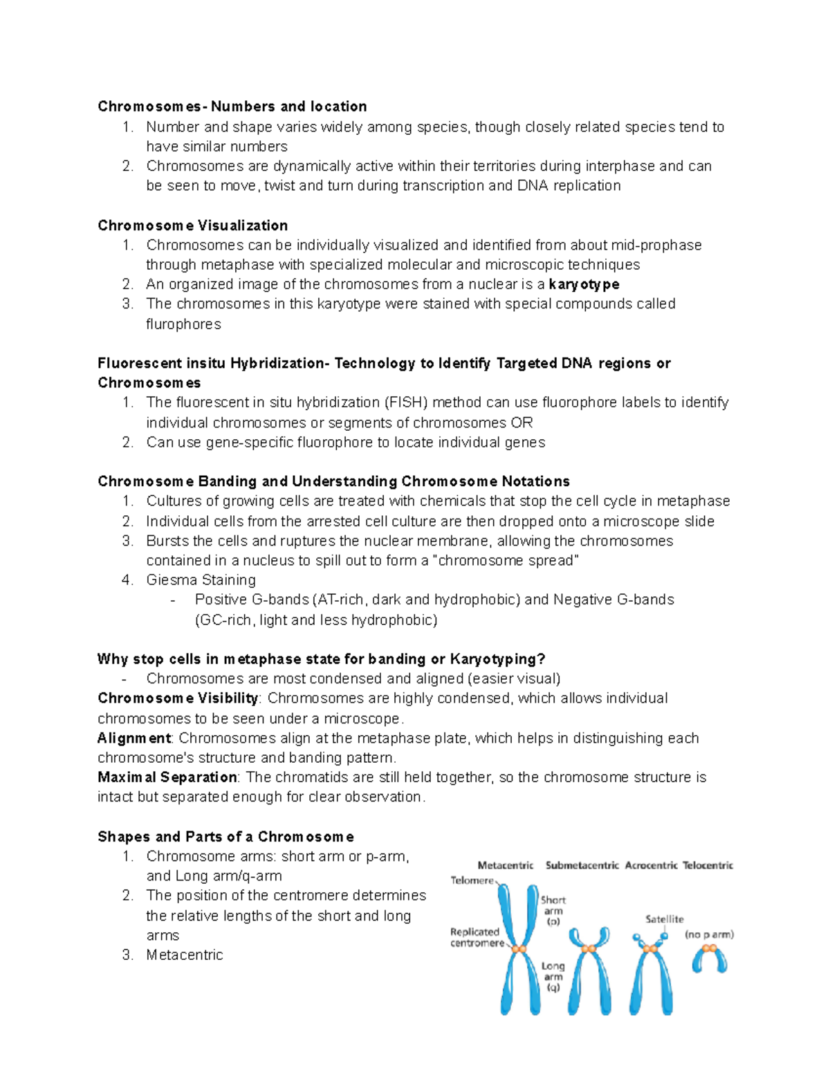 Genetics Week 7 Lecture Notes: Chromosome Structure & Mutations - Studocu