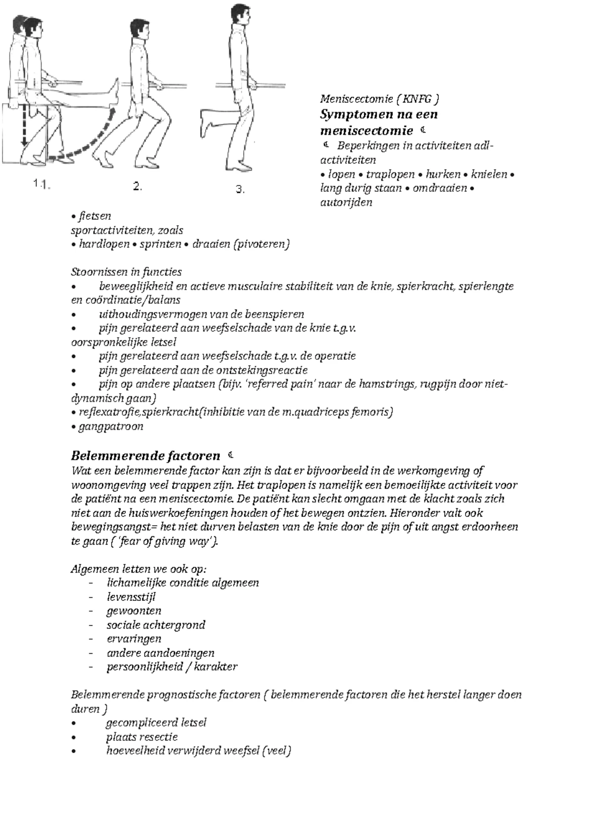 KNGF-richtlijn Fysiotherapeutische Dossiervoering 2019: Praktische Gids ...