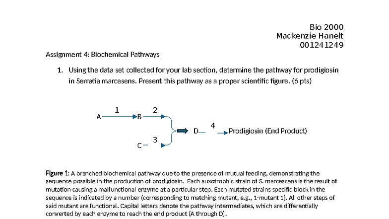 Bio 2000 Lab Assignment 4: Prodigiosin Pathway Analysis in S ...