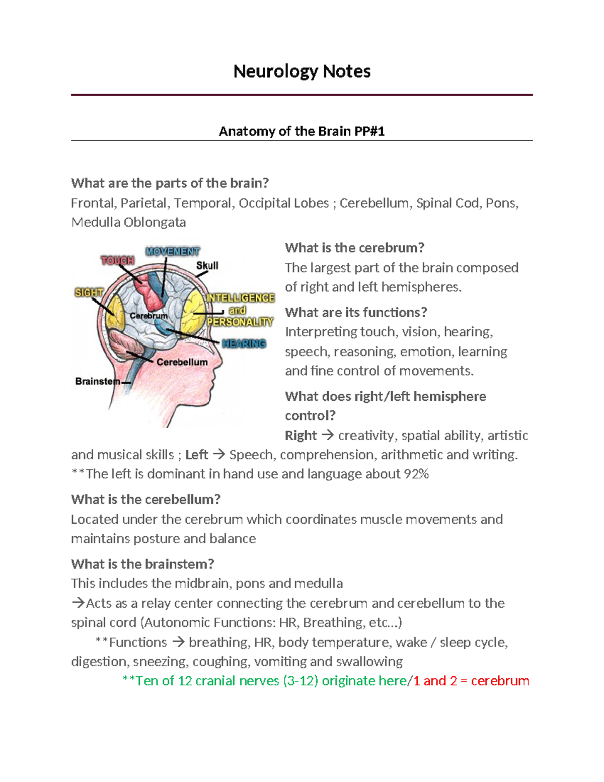 Neurology Notes: Anatomy and Functions of the Brain - Studocu