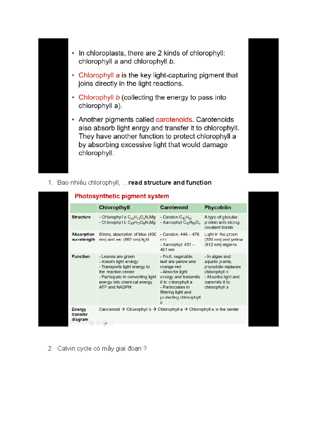 Biology 23: Photosynthesis & Cell Division Lecture Notes - Studocu