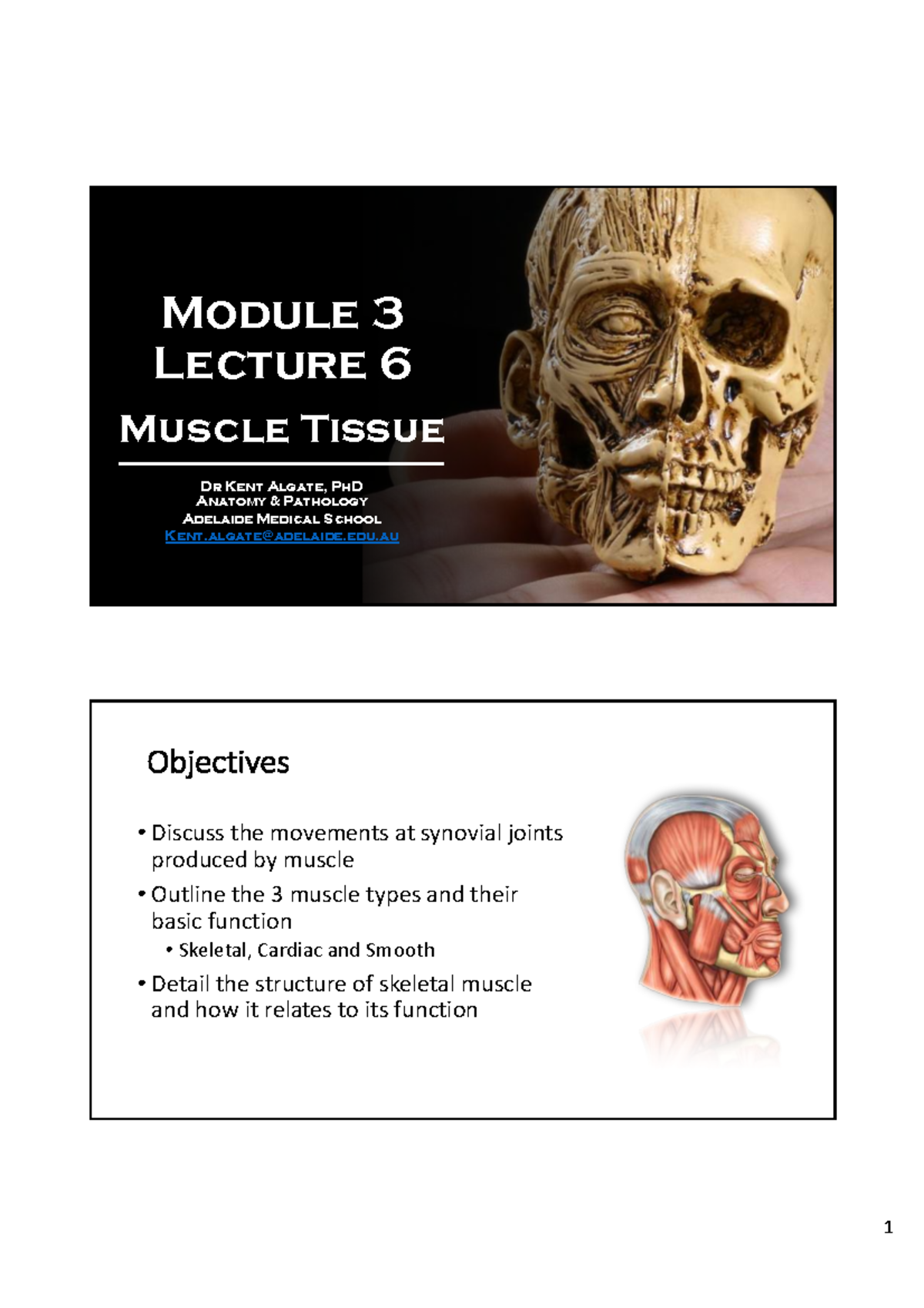 Muscle Tissue Overview - Anatomy & Pathology Lecture 6 (ANAT123) - Studocu