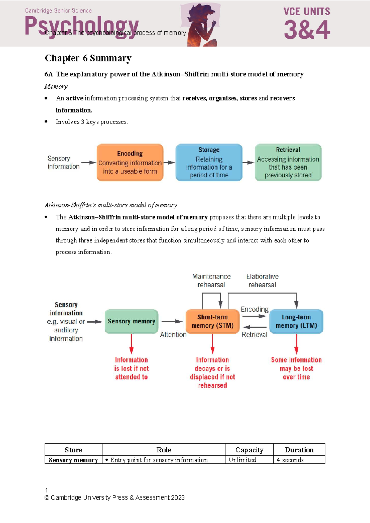 Chapter 6 Summary: The Psychobiological Process of Memory (Psychology ...