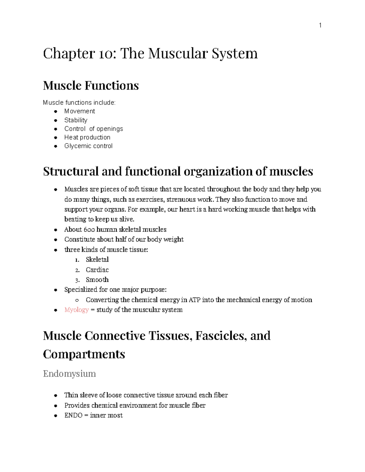 Muscular System Skeletal Muscle Function