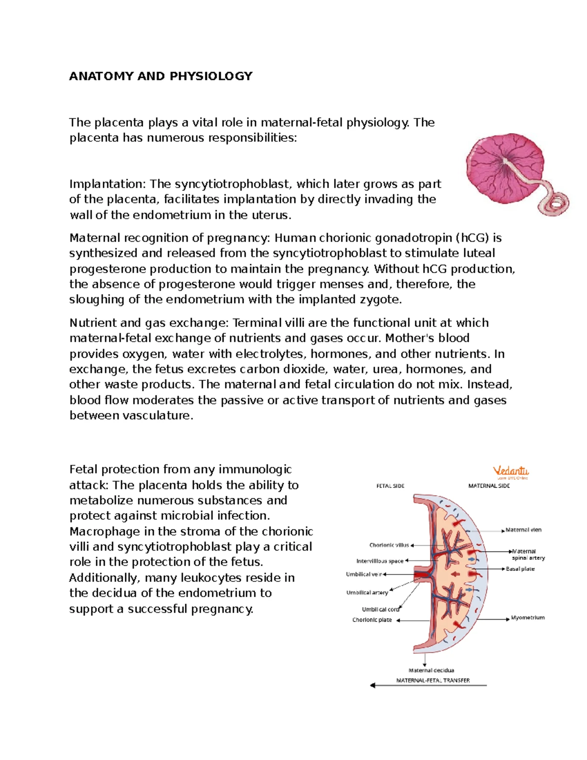 Anatomy and Physiology: Understanding Breast Structure and Function ...